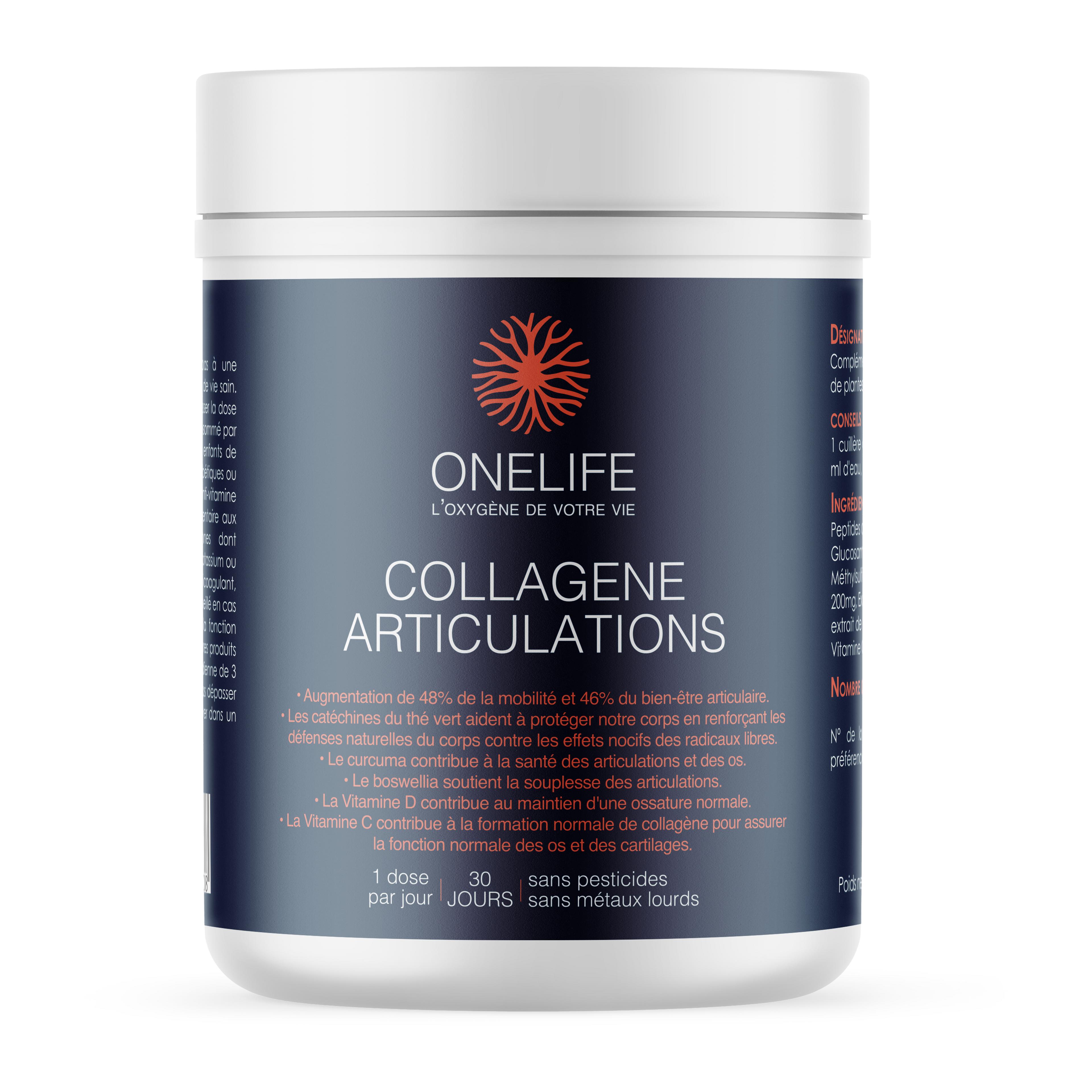 COLLAGENE MARIN ARTICULATIONS